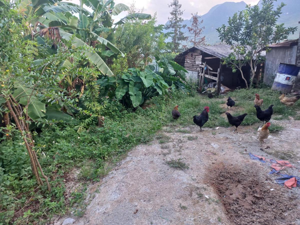 Homestay Hoang Vu Хазянг Экстерьер фото